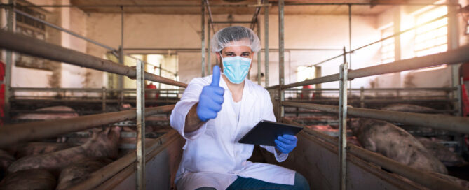 carne de cerdo cárnicas chambería seguridad alimentaria